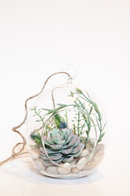 Lovely Whimsical Glass Terrarium with Artificial Succulents and Plants in Light Greens and Blue Tones - image5